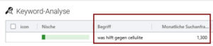 Ratgeber eBook Keyword Analyse