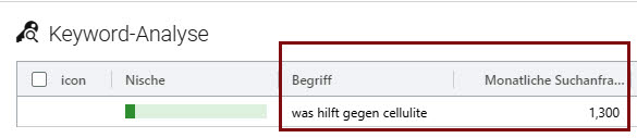 Ratgeber eBook Keyword Analyse
